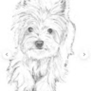 Meet your Posher, Patti